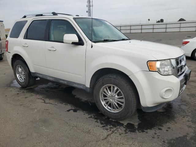 2009 Ford Escape Limited