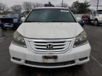 2009 Honda Odyssey EXL