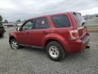 2012 Ford Escape XLS