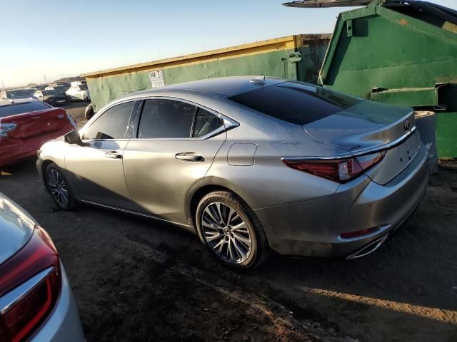 2019 Lexus ES 350