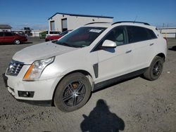 Cadillac SRX Vehiculos salvage en venta: 2013 Cadillac SRX