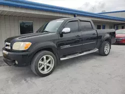 Salvage cars for sale from Copart Fort Pierce, FL: 2006 Toyota Tundra Double Cab SR5