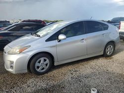 Toyota salvage cars for sale: 2010 Toyota Prius