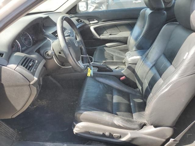 2009 Honda Accord EXL