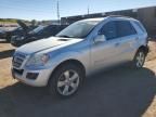 2009 Mercedes-Benz ML 350