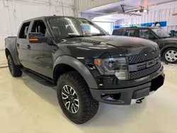 Ford Vehiculos salvage en venta: 2013 Ford F150 SVT Raptor