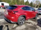 2019 Lexus NX 300H