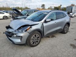 Ford salvage cars for sale: 2021 Ford Escape SEL