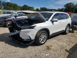 Salvage cars for sale at Theodore, AL auction: 2025 Honda CR-V EXL