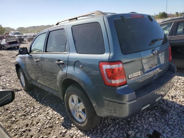 2011 Ford Escape XLT