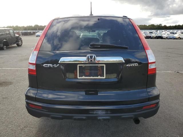 2010 Honda CR-V EXL