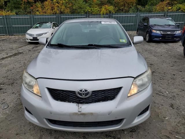 2010 Toyota Corolla Base