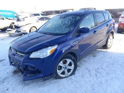 Ford salvage cars for sale: 2015 Ford Escape SE