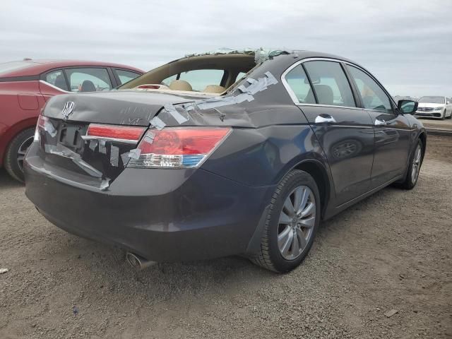 2012 Honda Accord EXL