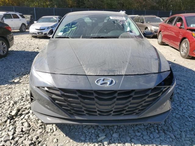 2023 Hyundai Elantra Blue