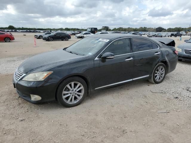 2010 Lexus ES 350