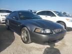 2004 Ford Mustang