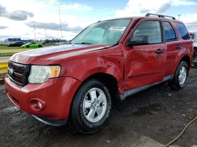 2010 Ford Escape XLT