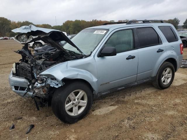 2008 Ford Escape HEV