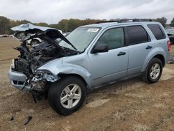 Salvage Cars with No Bids Yet For Sale at auction: 2008 Ford Escape HEV