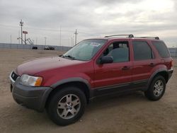 2003 Ford Escape XLT en venta en Greenwood, NE