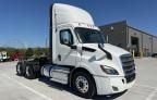 2019 Freightliner Cascadia 116