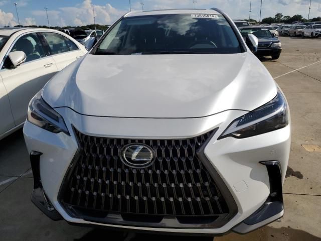 2024 Lexus NX 250 Premium