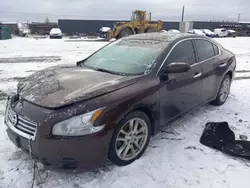 Nissan Vehiculos salvage en venta: 2014 Nissan Maxima S