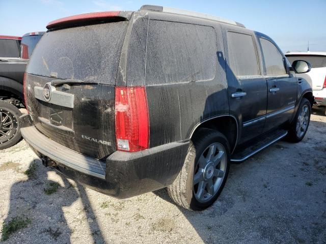 2009 Cadillac Escalade Luxury