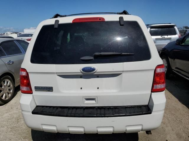 2011 Ford Escape XLT