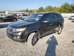 Salvage Cars with No Bids Yet For Sale at auction: 2011 KIA Sorento EX