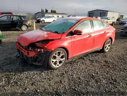 Ford Vehiculos salvage en venta: 2012 Ford Focus SEL