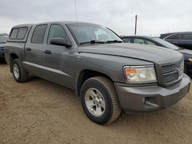 2010 Dodge Dakota SXT