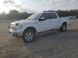 2011 Ford F150 Supercrew en venta en Conway, AR