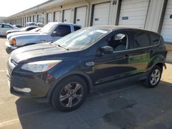 Salvage cars for sale at Louisville, KY auction: 2015 Ford Escape SE