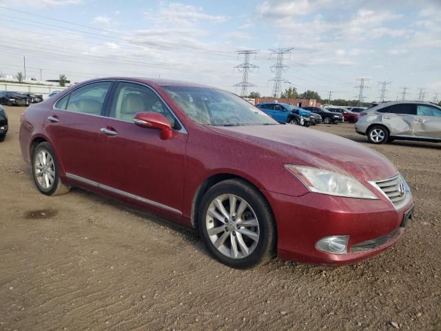 2010 Lexus ES 350