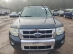 2009 Ford Escape Limited