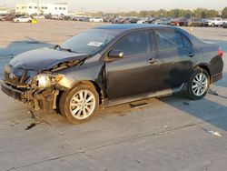 Salvage cars for sale at Grand Prairie, TX auction: 2010 Toyota Corolla Base