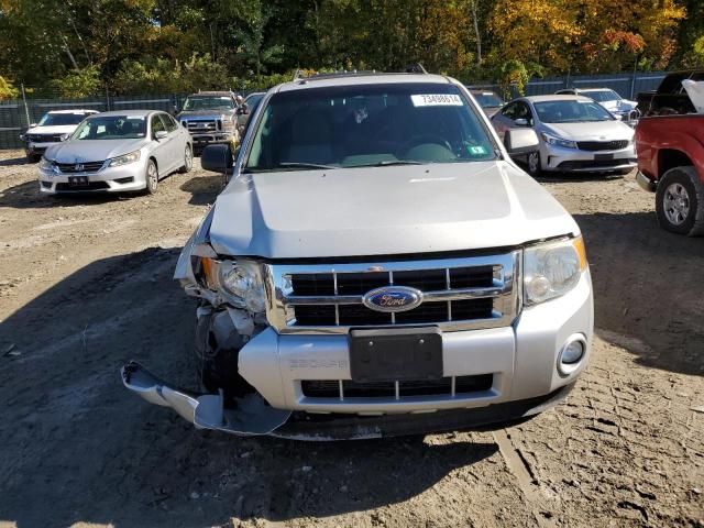 2009 Ford Escape XLT