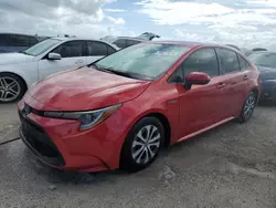 Toyota Corolla le Vehiculos salvage en venta: 2021 Toyota Corolla LE