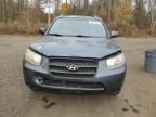 2007 Hyundai Santa FE GL