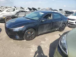 Salvage cars for sale from Copart Arcadia, FL: 2022 Hyundai Elantra SEL