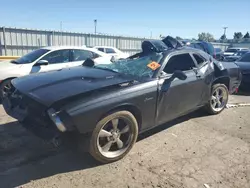 Dodge salvage cars for sale: 2010 Dodge Challenger R/T