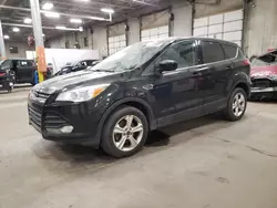 2013 Ford Escape SE en venta en Blaine, MN