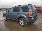 2012 Ford Escape XLS