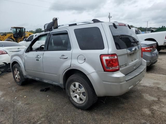 2011 Ford Escape Limited