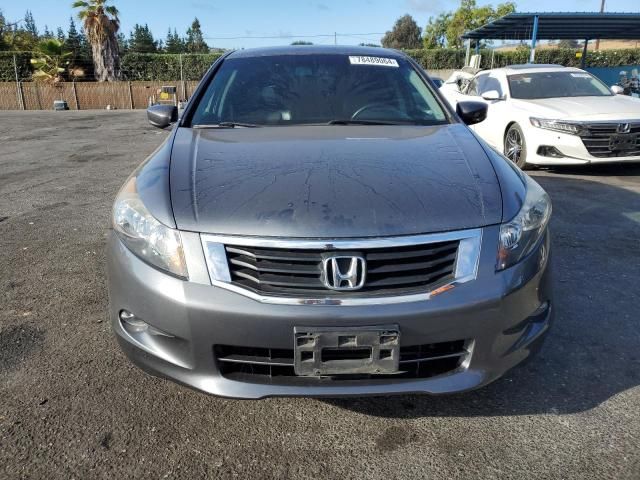 2010 Honda Accord EXL