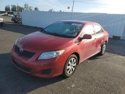 Toyota Vehiculos salvage en venta: 2010 Toyota Corolla Base