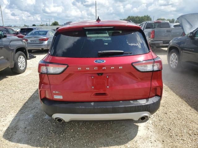 2021 Ford Escape SEL