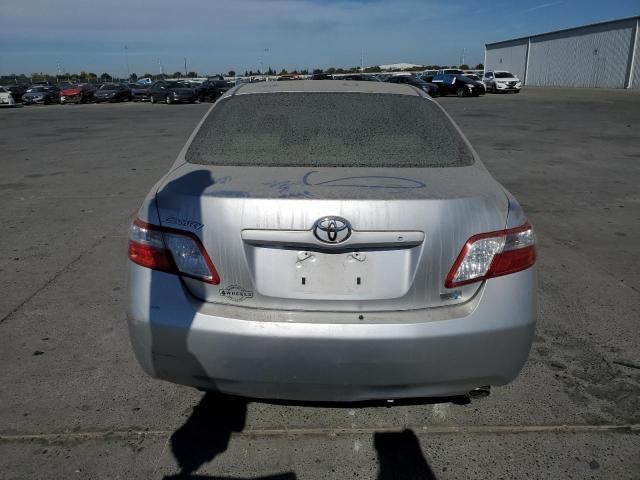 2009 Toyota Camry Hybrid